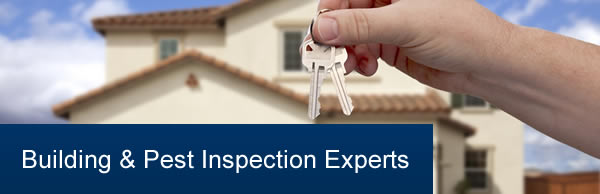 Building & Pest Inspection Brisbane